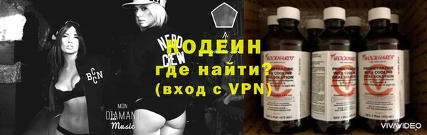 гашик Алзамай