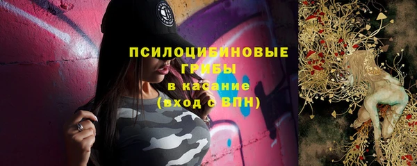 гашик Алзамай