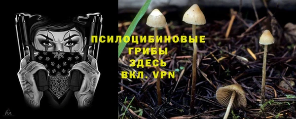 гашик Алзамай